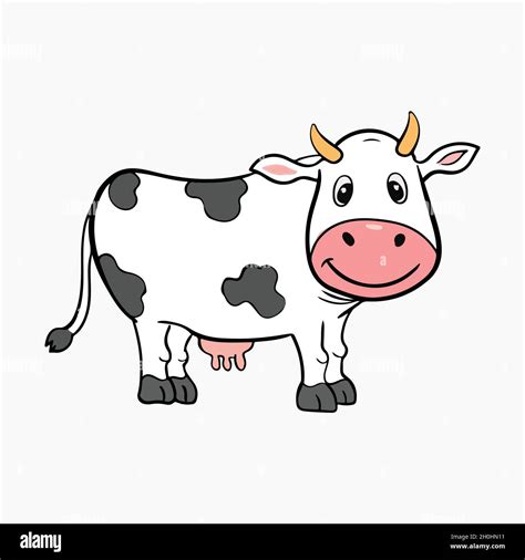 cow vector images